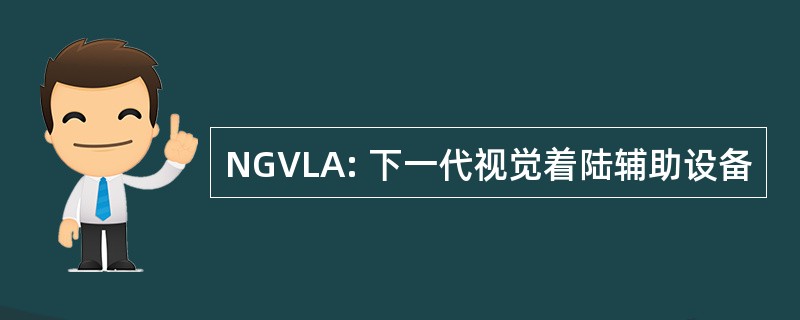 NGVLA: 下一代视觉着陆辅助设备