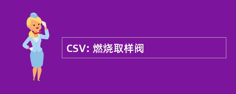 CSV: 燃烧取样阀