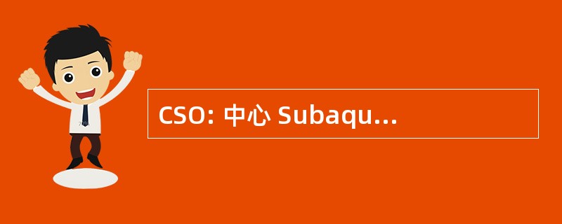 CSO: 中心 Subaquatique OrlÃ © 刘烨