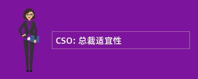 CSO: 总裁适宜性