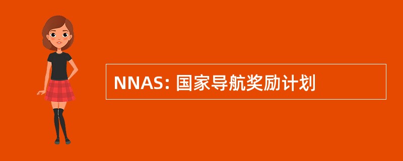 NNAS: 国家导航奖励计划