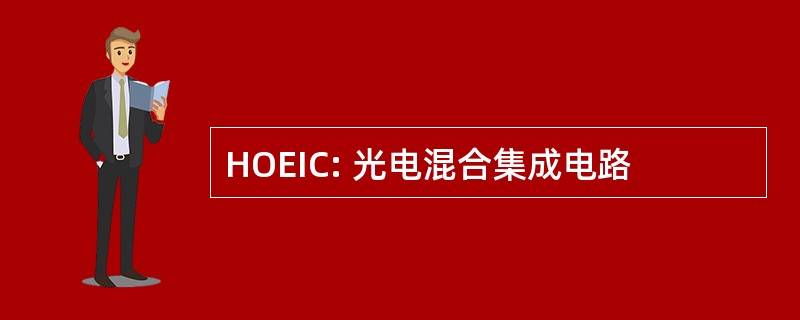 HOEIC: 光电混合集成电路