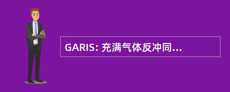 GARIS: 充满气体反冲同位素分离器