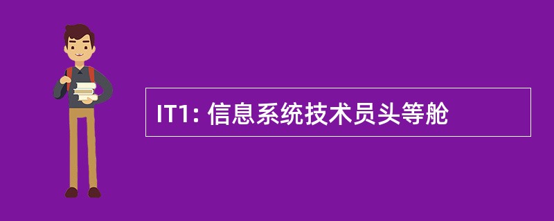 IT1: 信息系统技术员头等舱