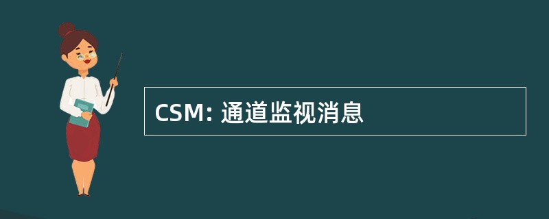 CSM: 通道监视消息