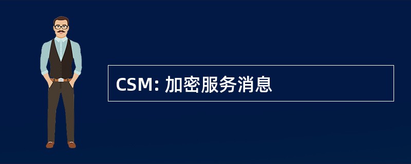 CSM: 加密服务消息