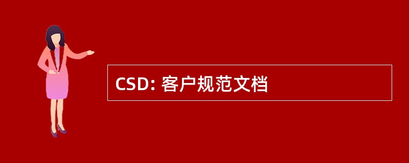 CSD: 客户规范文档