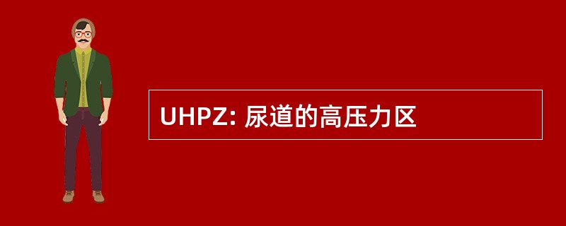 UHPZ: 尿道的高压力区