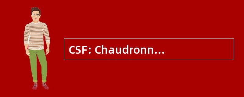 CSF: Chaudronnerie Serrurerie du Forez