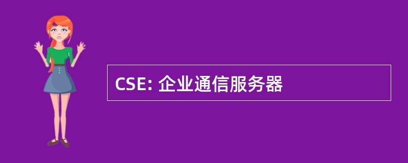 CSE: 企业通信服务器