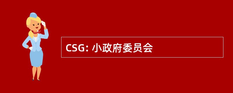 CSG: 小政府委员会