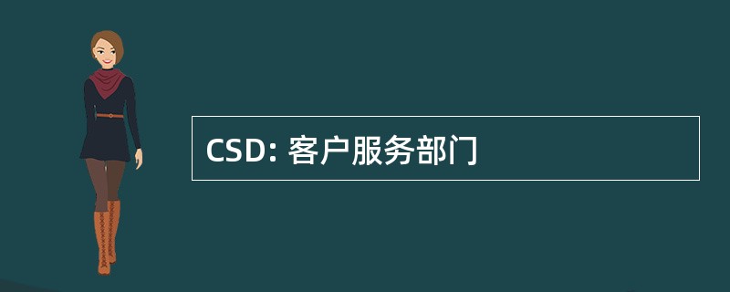 CSD: 客户服务部门