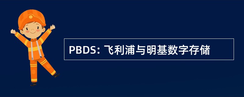 PBDS: 飞利浦与明基数字存储