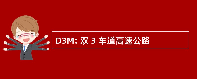 D3M: 双 3 车道高速公路