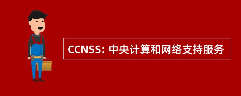 CCNSS: 中央计算和网络支持服务