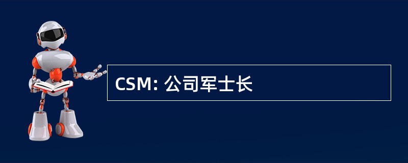 CSM: 公司军士长