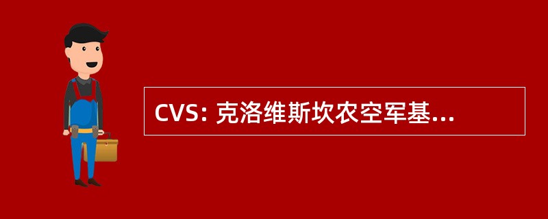 CVS: 克洛维斯坎农空军基地，新墨西哥州，美国