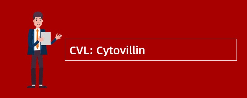 CVL: Cytovillin