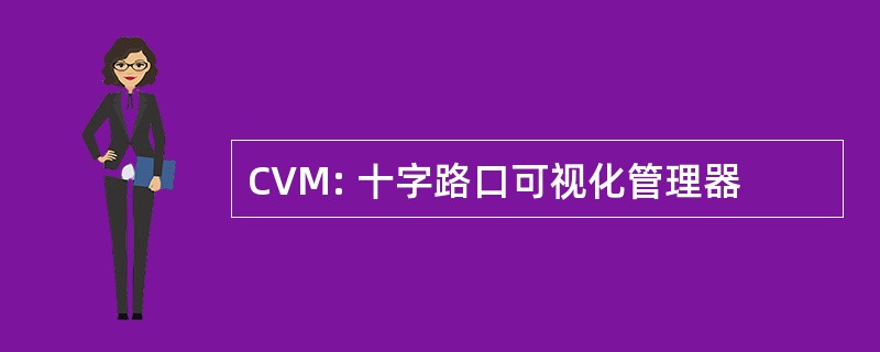 CVM: 十字路口可视化管理器