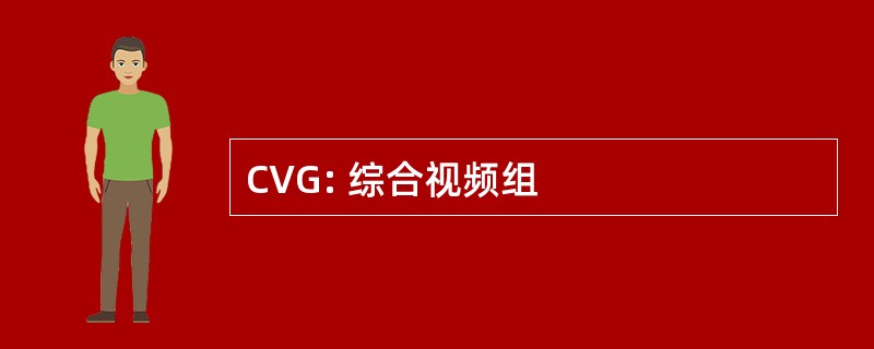 CVG: 综合视频组