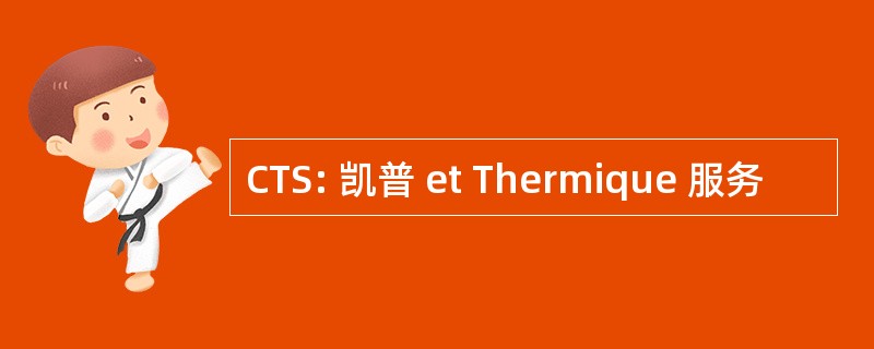 CTS: 凯普 et Thermique 服务