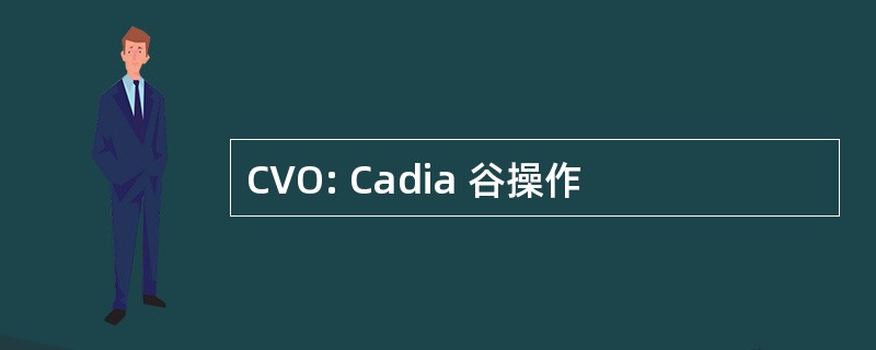 CVO: Cadia 谷操作