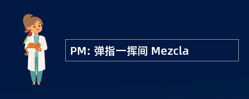 PM: 弹指一挥间 Mezcla