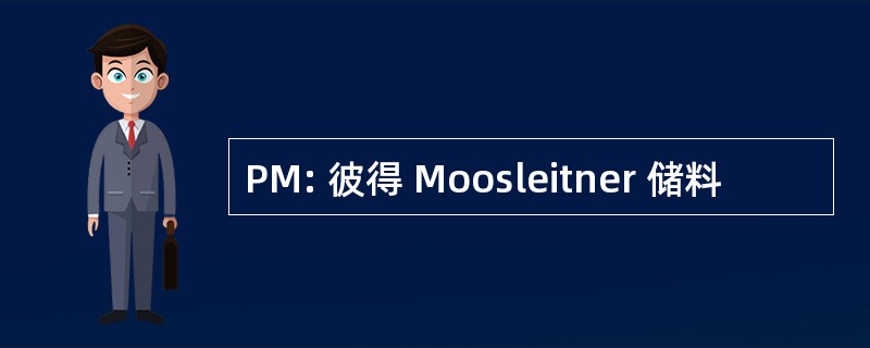 PM: 彼得 Moosleitner 储料