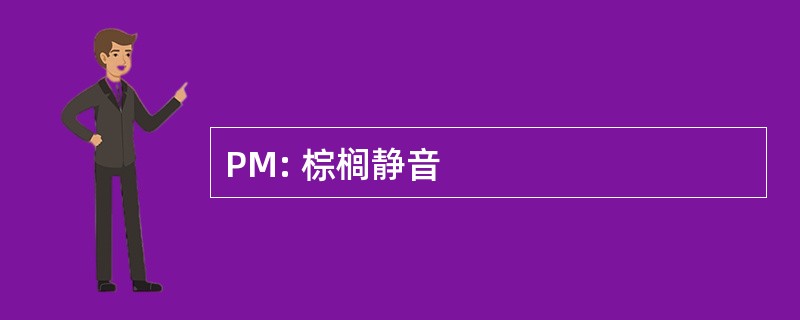 PM: 棕榈静音