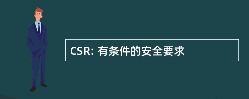 CSR: 有条件的安全要求