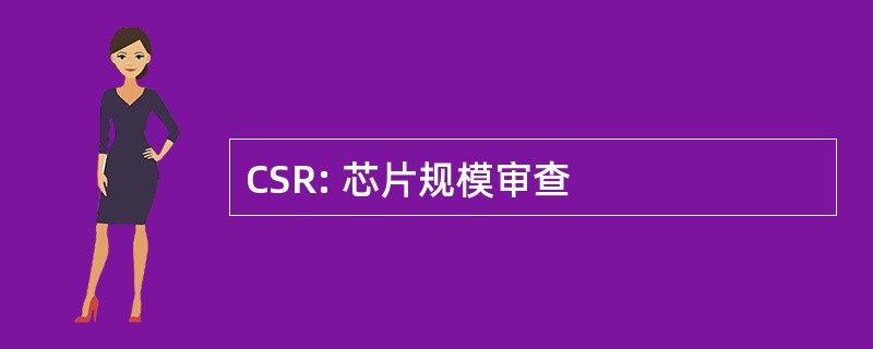 CSR: 芯片规模审查