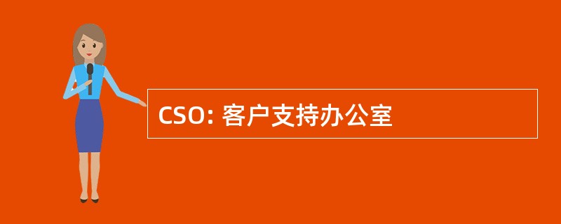 CSO: 客户支持办公室