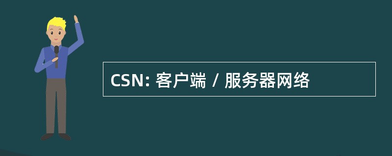 CSN: 客户端 / 服务器网络