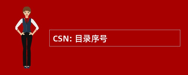 CSN: 目录序号