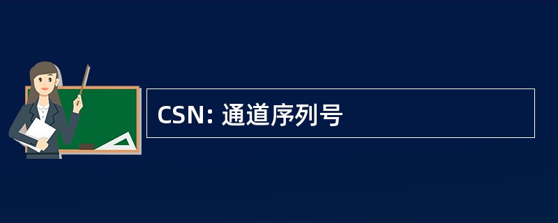 CSN: 通道序列号