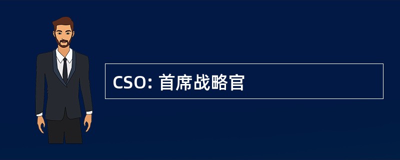 CSO: 首席战略官