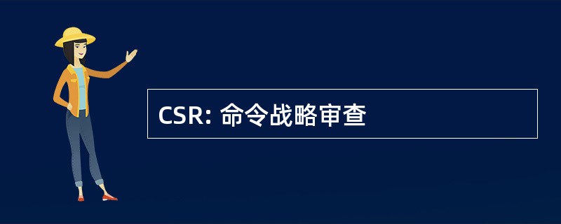 CSR: 命令战略审查