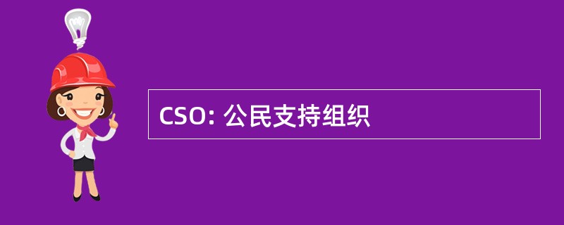 CSO: 公民支持组织