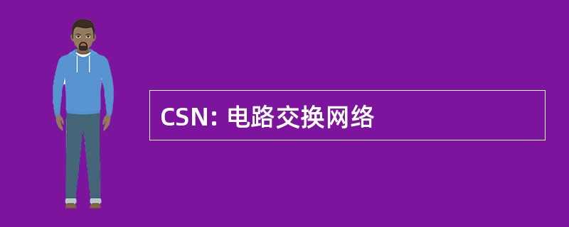 CSN: 电路交换网络