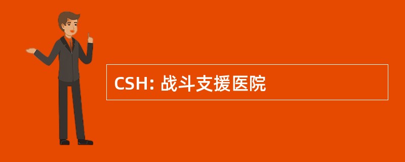 CSH: 战斗支援医院