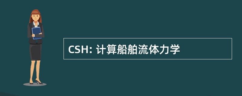 CSH: 计算船舶流体力学