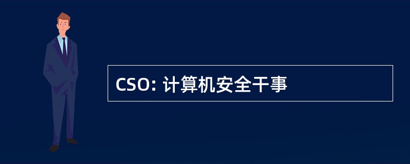 CSO: 计算机安全干事