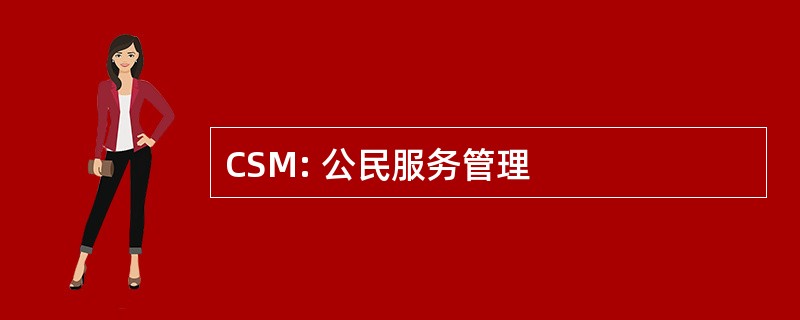 CSM: 公民服务管理