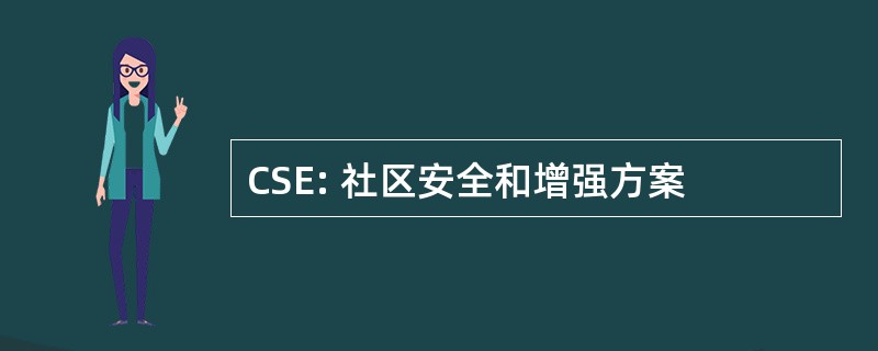 CSE: 社区安全和增强方案