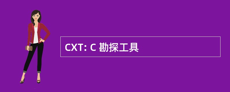 CXT: C 勘探工具