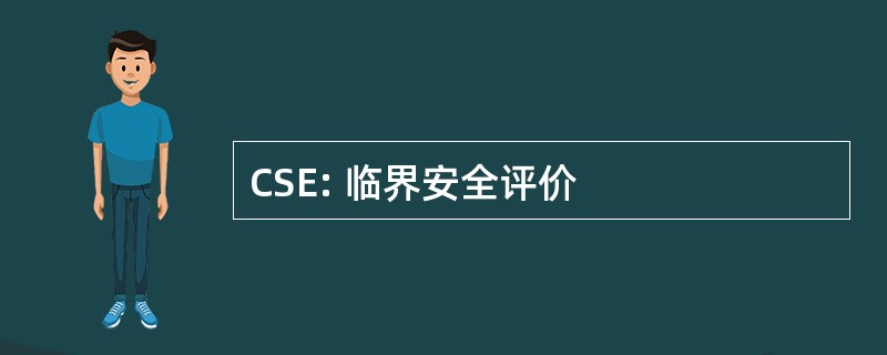 CSE: 临界安全评价