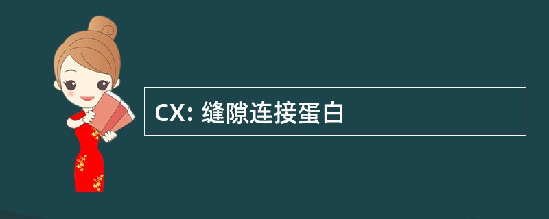 CX: 缝隙连接蛋白