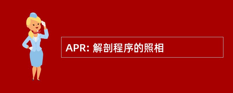 APR: 解剖程序的照相