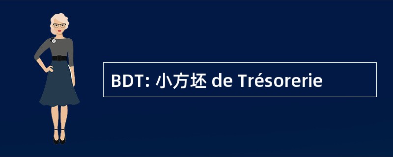 BDT: 小方坯 de Trésorerie