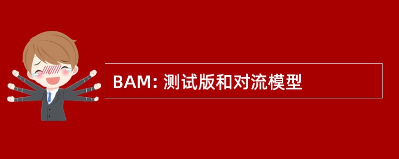 BAM: 测试版和对流模型